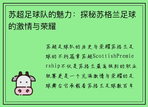 苏超足球队的魅力:探秘苏格兰足球的激情与荣耀