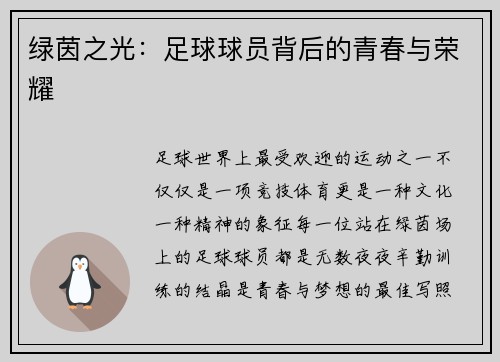 绿茵之光：足球球员背后的青春与荣耀